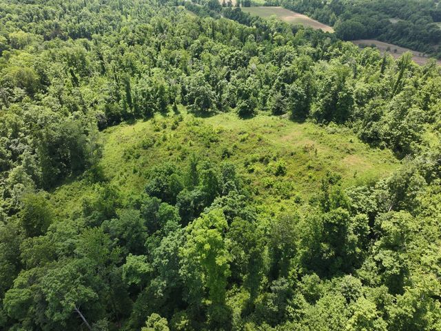 110 Wade Reed Rd, White Bluff, TN 37187