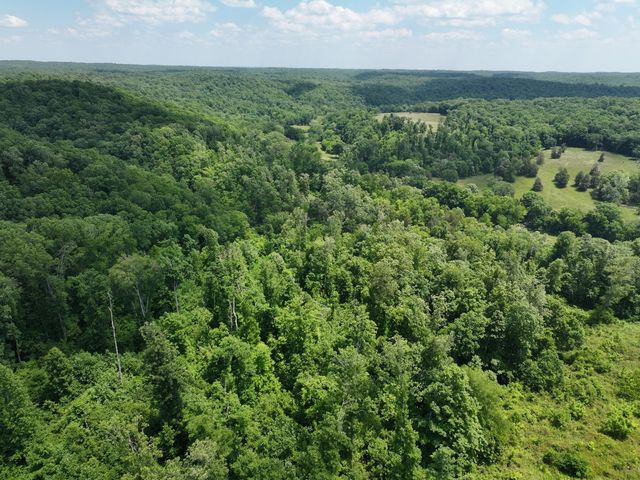 110 Wade Reed Rd, White Bluff, TN 37187