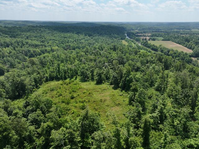 110 Wade Reed Rd, White Bluff, TN 37187