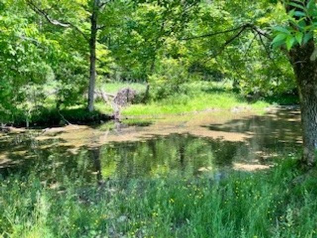 110 Wade Reed Rd, White Bluff, TN 37187
