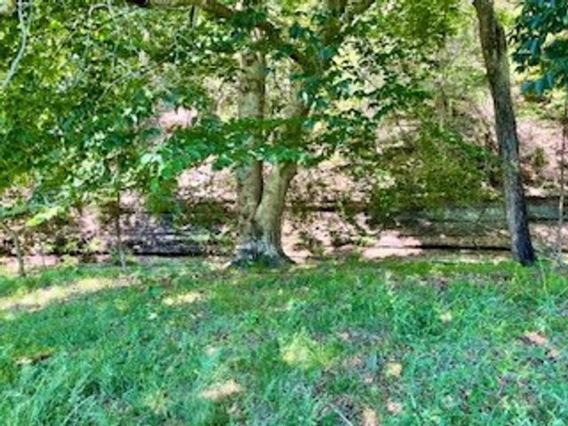 110 Wade Reed Rd, White Bluff, TN 37187