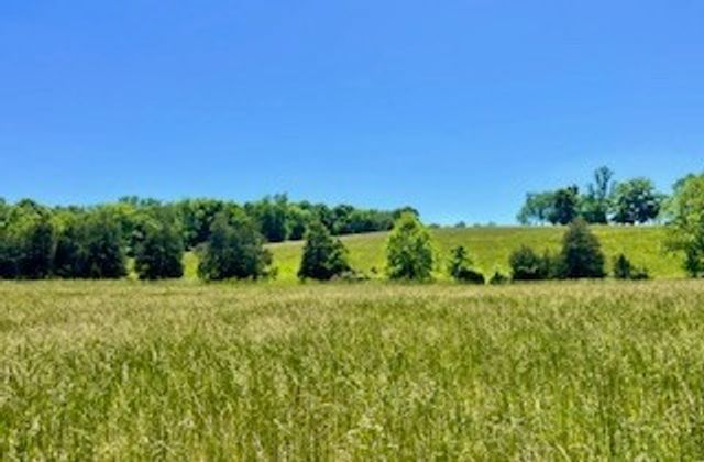 110 Wade Reed Rd, White Bluff, TN 37187