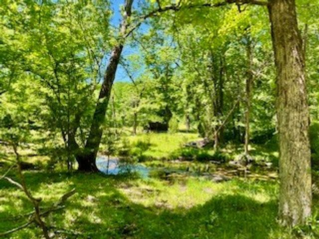 110 Wade Reed Rd, White Bluff, TN 37187