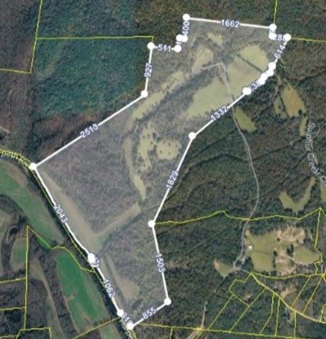 110 Wade Reed Rd, White Bluff, TN 37187