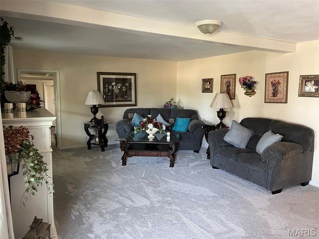 1507 Highway OO, Fredericktown, MO 63645