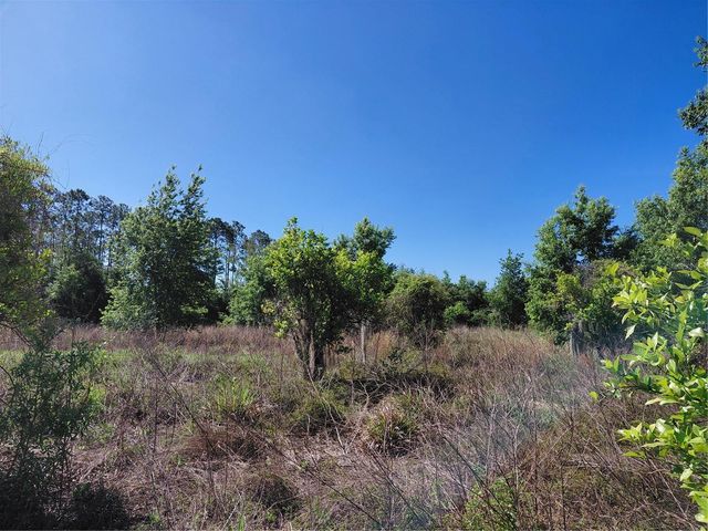 COFFEE CREEK LANE, Clermont, FL 34711