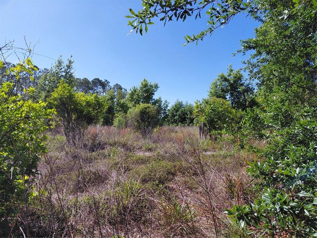 COFFEE CREEK LANE, Clermont, FL 34711