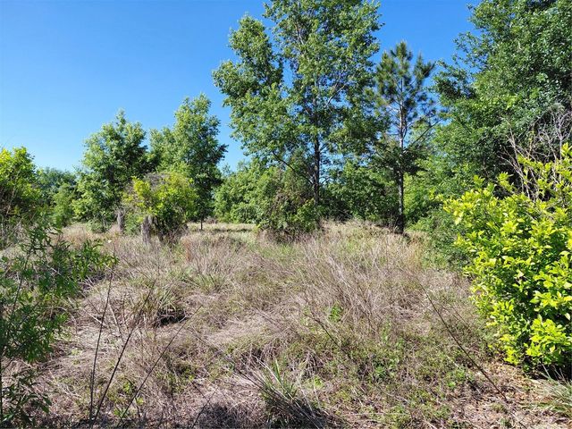 COFFEE CREEK LANE, Clermont, FL 34711