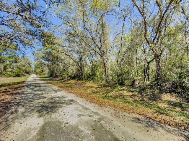 7262 SONIA AVENUE, Webster, FL 33597