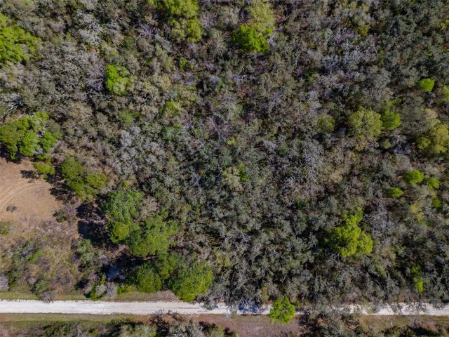 7262 SONIA AVENUE, Webster, FL 33597