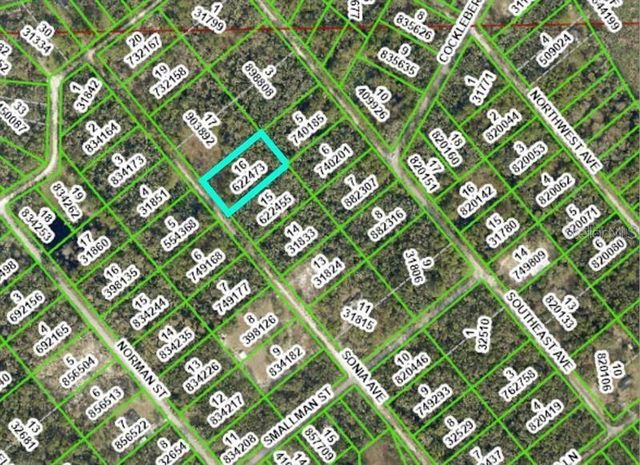 7262 SONIA AVENUE, Webster, FL 33597