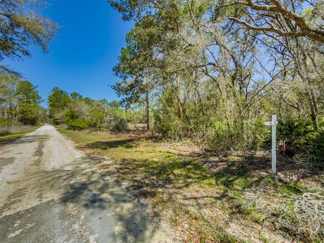 7262 SONIA AVENUE, Webster, FL 33597