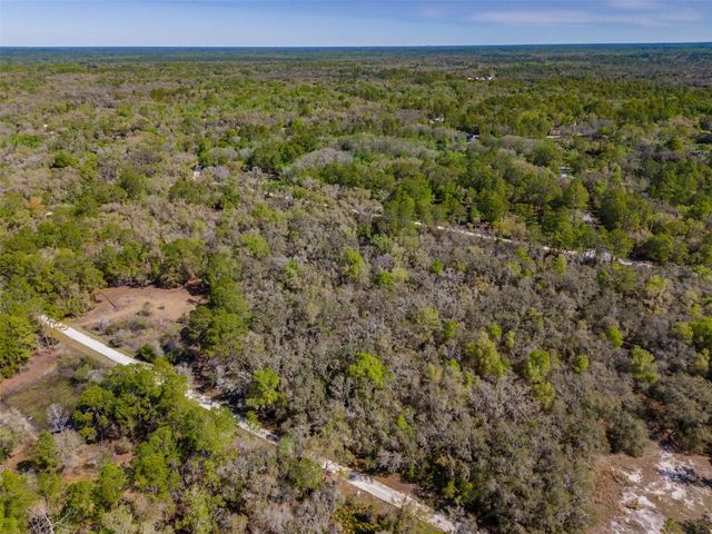 7262 SONIA AVENUE, Webster, FL 33597