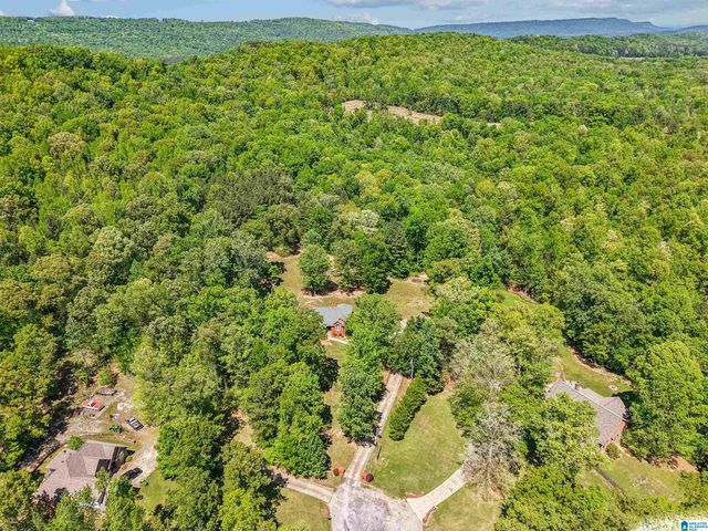 706 OAK VALLEY ROAD, Springville, AL 35146