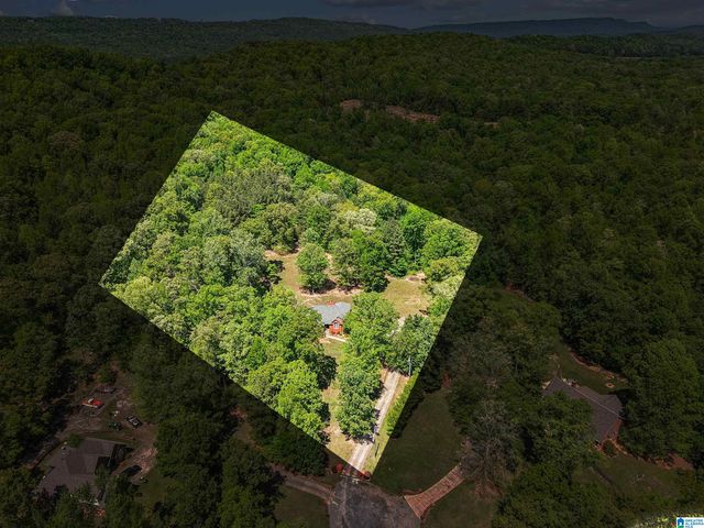 706 OAK VALLEY ROAD, Springville, AL 35146