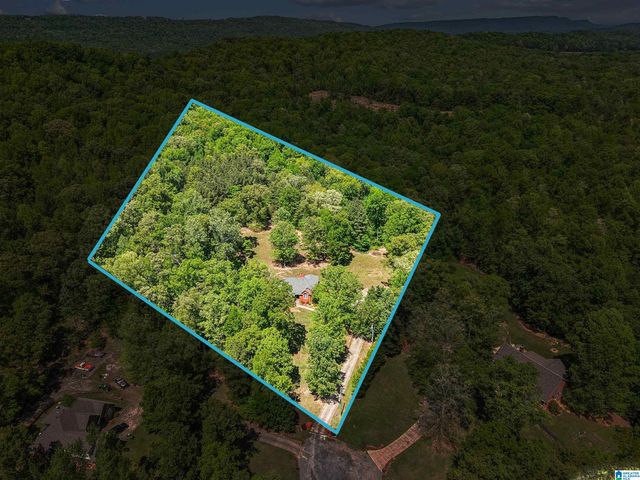 706 OAK VALLEY ROAD, Springville, AL 35146