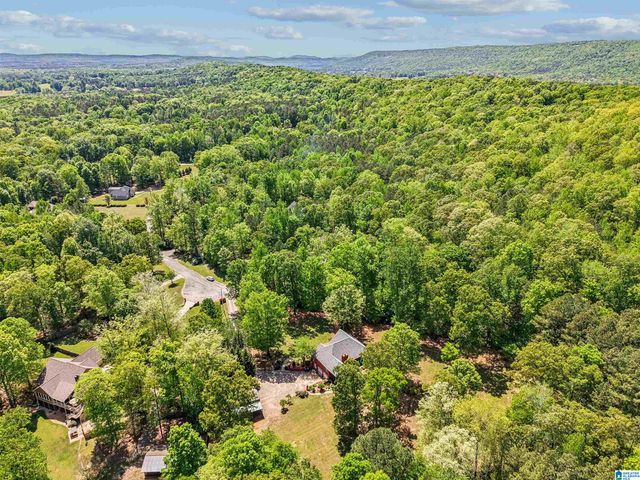 706 OAK VALLEY ROAD, Springville, AL 35146