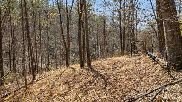 403 Youngs Gap Road, Fletcher, NC 28732