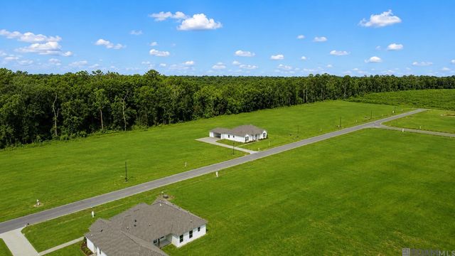24112 Red Tail Lane, Denham Springs, LA 70726