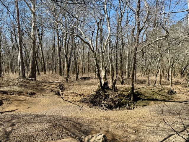 588 Club Springs Rd, Buffalo Valley, TN 38548