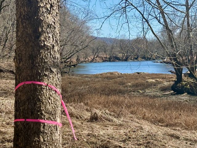 588 Club Springs Rd, Buffalo Valley, TN 38548