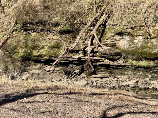 588 Club Springs Rd, Buffalo Valley, TN 38548