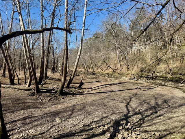 588 Club Springs Rd, Buffalo Valley, TN 38548