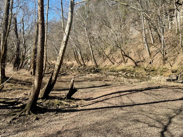 588 Club Springs Rd, Buffalo Valley, TN 38548