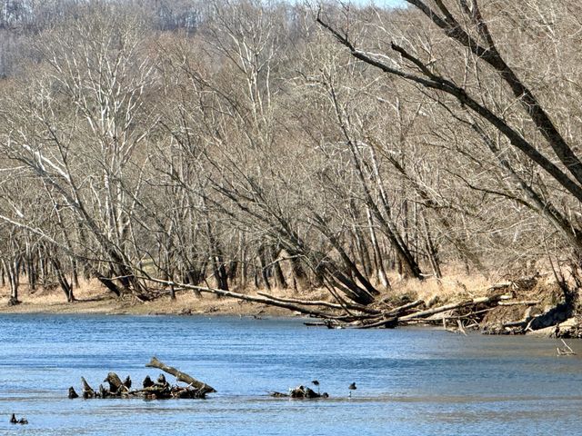 588 Club Springs Rd, Buffalo Valley, TN 38548