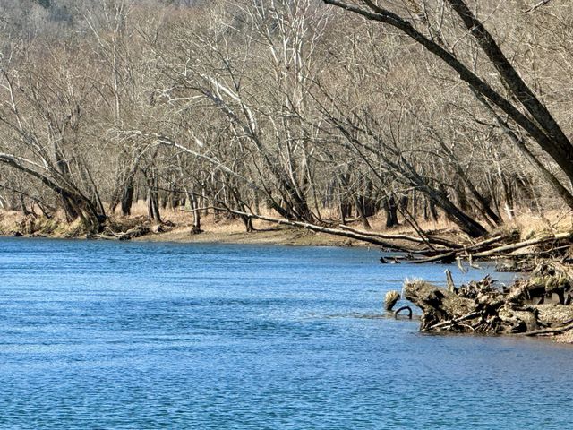 588 Club Springs Rd, Buffalo Valley, TN 38548