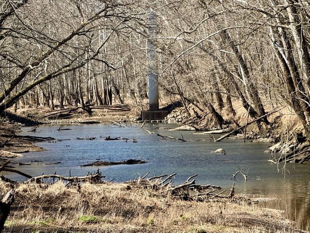 588 Club Springs Rd, Buffalo Valley, TN 38548