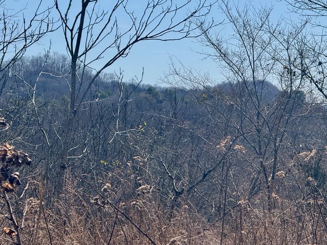 588 Club Springs Rd, Buffalo Valley, TN 38548