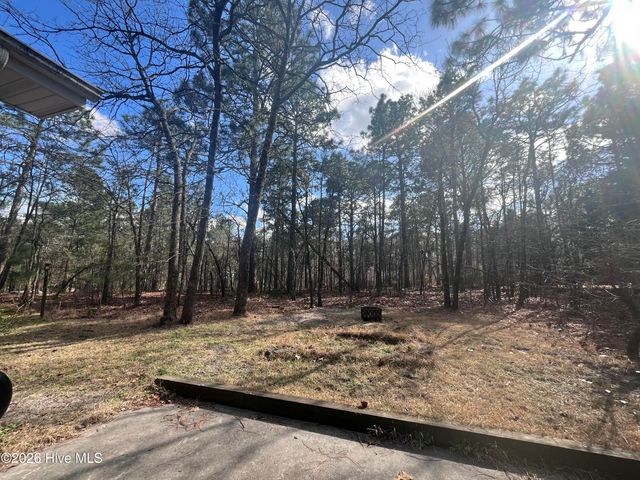 736 Ginseng Drive, Vass, NC 28394