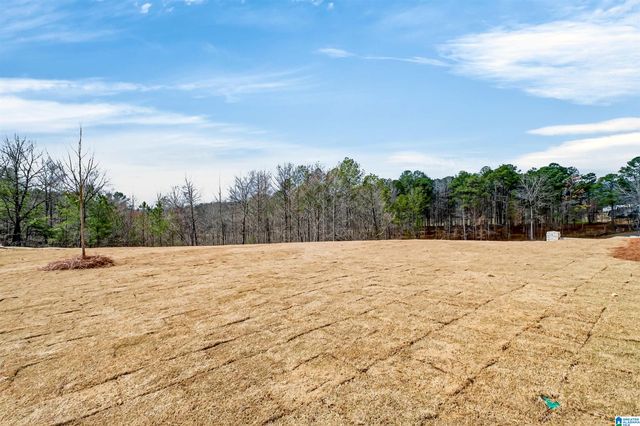 3919 CALVERT CIRCLE, Hoover, AL 35244