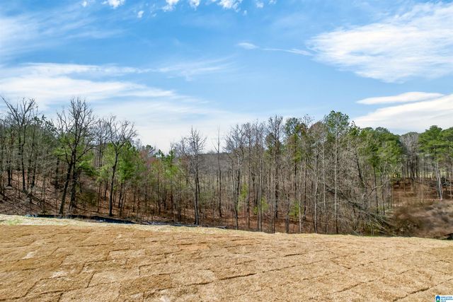 3919 CALVERT CIRCLE, Hoover, AL 35244