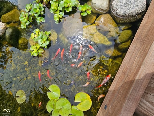 140 Waterford Court, Pendleton, IN 46064