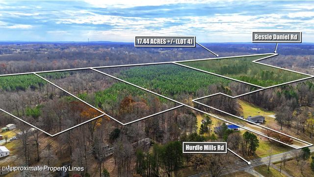 Lot 4 Bessie Daniel Road, Roxboro, NC 27574