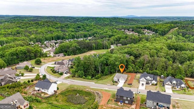 437 Tom Avery Drive, Ball Ground, GA 30107