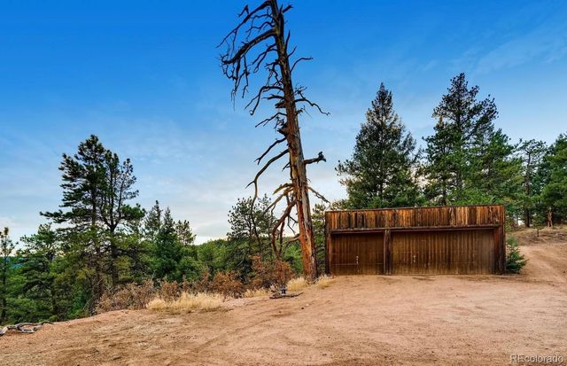 1150 Madge Gulch Road, Sedalia, CO 80135