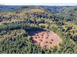 Hunter A, Longview, WA 98632