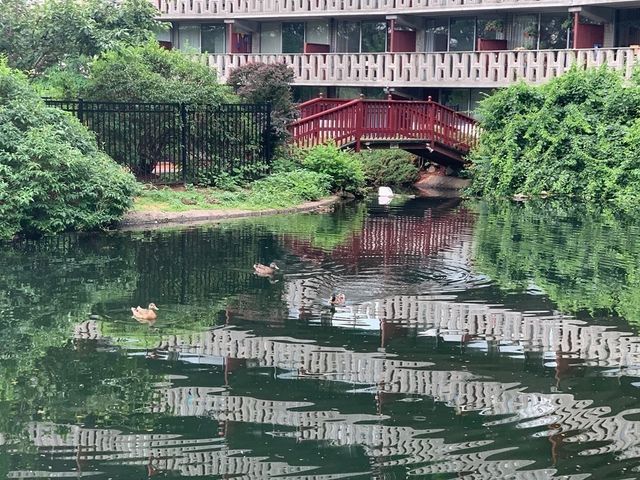 200 Swanton Street L12, Winchester, MA 01890