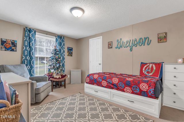 309 Sammons Pvt Drive, Blountville, TN 37617