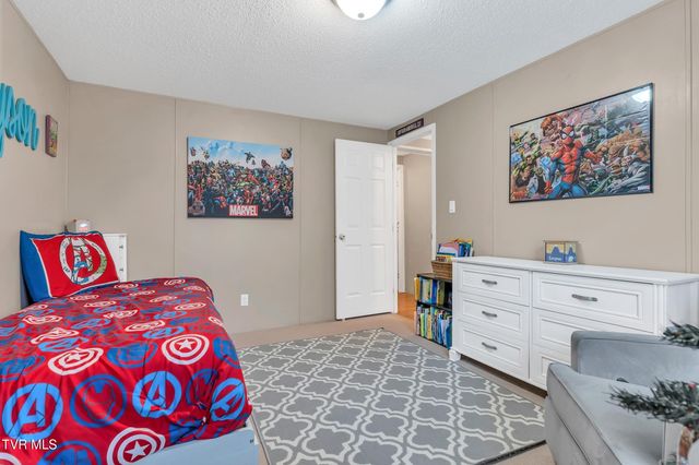 309 Sammons Pvt Drive, Blountville, TN 37617