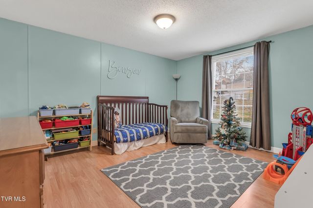 309 Sammons Pvt Drive, Blountville, TN 37617