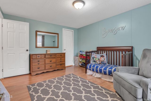 309 Sammons Pvt Drive, Blountville, TN 37617