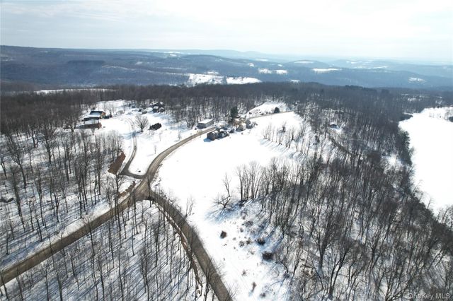 299-301 Stump Pond Road, Livingston Manor, NY 12758