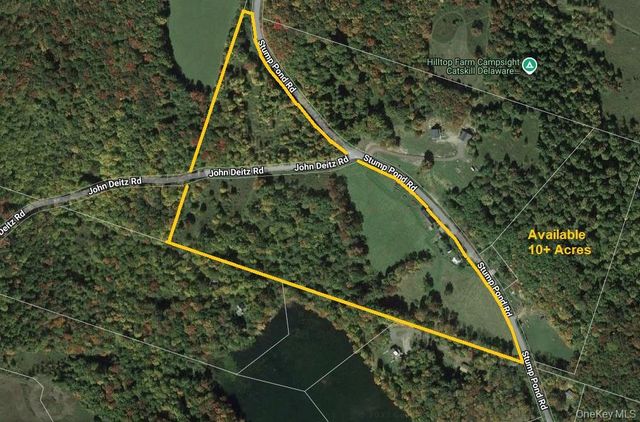 299-301 Stump Pond Road, Livingston Manor, NY 12758