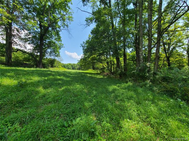 299-301 Stump Pond Road, Livingston Manor, NY 12758