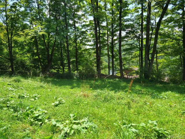 299-301 Stump Pond Road, Livingston Manor, NY 12758