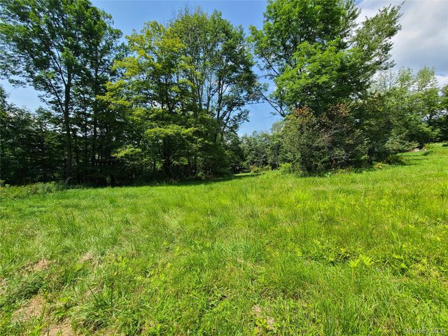 299-301 Stump Pond Road, Livingston Manor, NY 12758